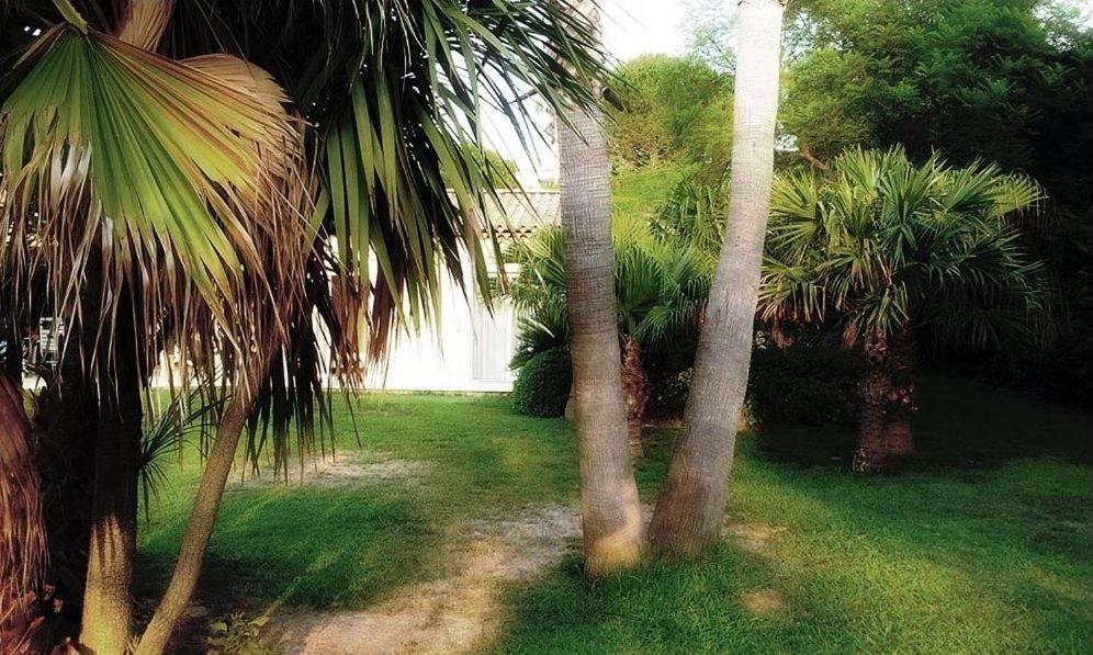 Villa Aloha Antibes Extérieur photo